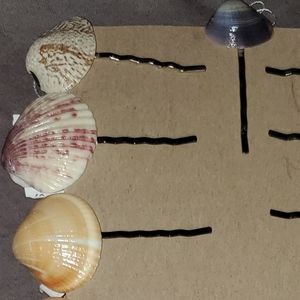 3 Seashell hairclip hairpins handmade shells beach